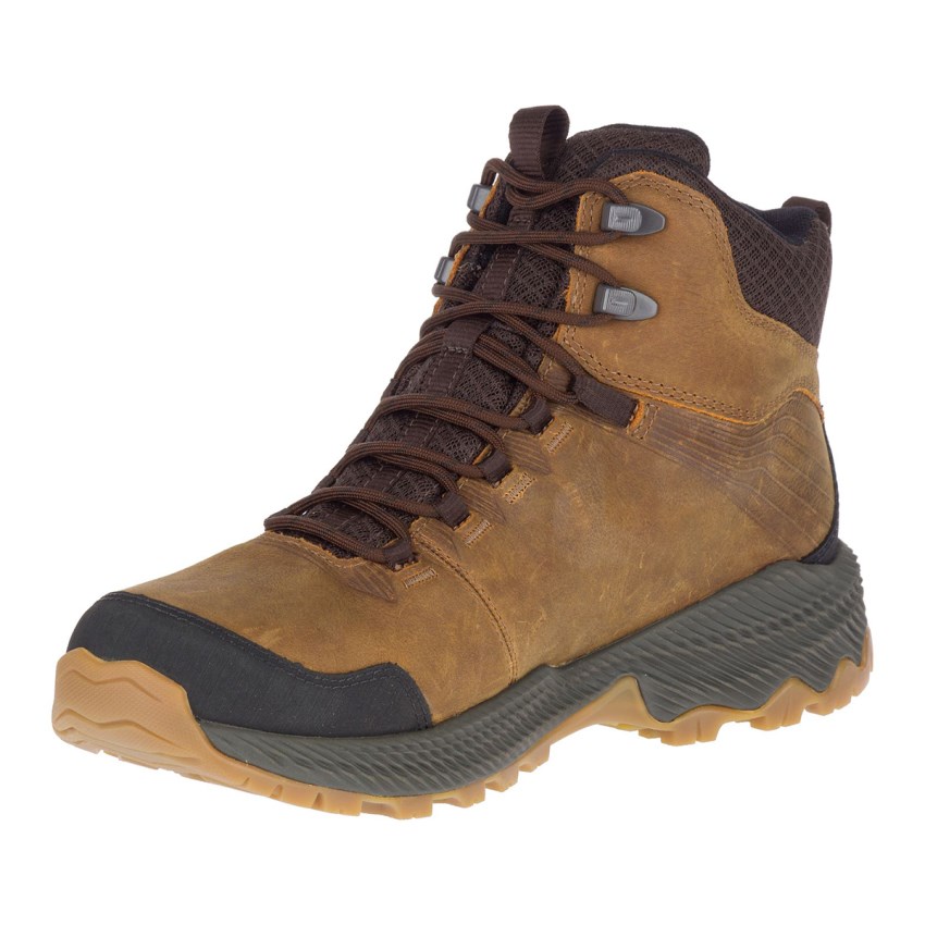 Chaussures Randonnée Merrell Forestbound Mid Waterproof Marron Homme | T.Y.JJCH